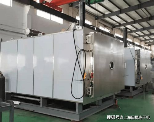 凍干面膜生產設備和技術